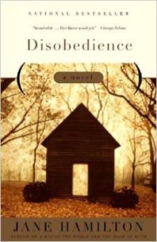 Disobedience: A Novel 