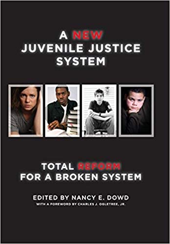 A New Juvenile Justice System: Total Reform for a Broken System (Families, Law, and Society)