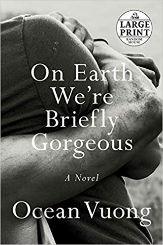 On Earth We're Briefly Gorgeous: A Novel