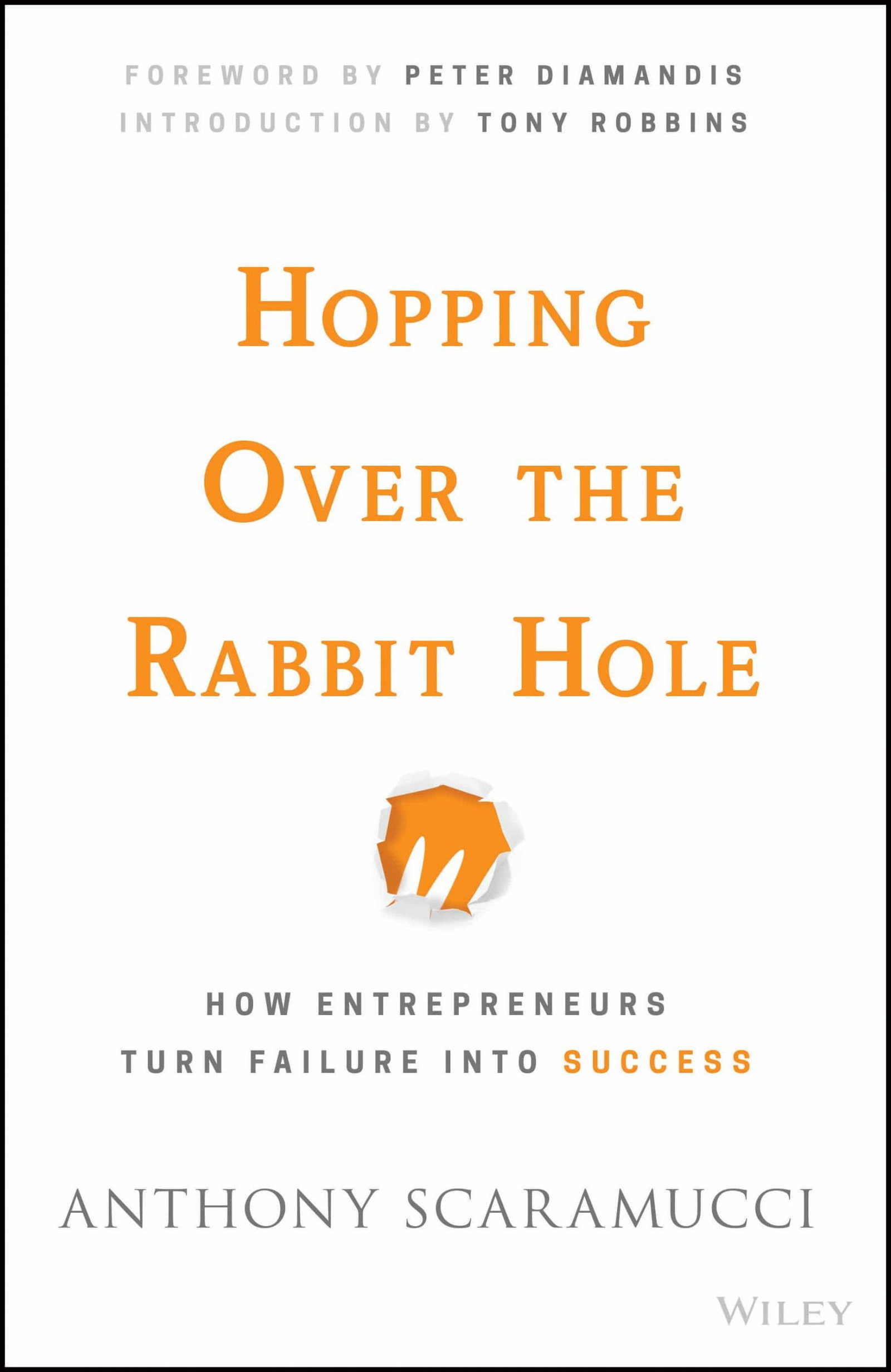 Hopping over the Rabbit Hole: How Entrepreneurs Turn Failure into Success