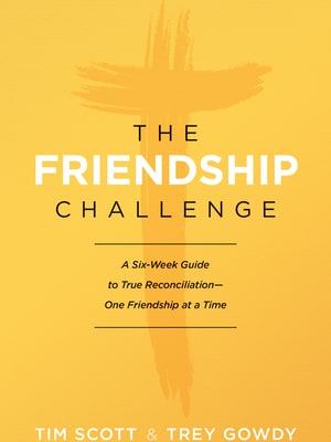 The Friendship Challenge by Trey Gowdy