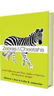 zebra and Cheetahs