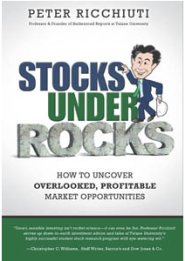STOCKS UNDER ROCKS