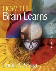 HOW THE BRAIN LEARNS