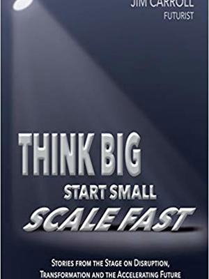 THINK BIG START SMALL SCALE FAST