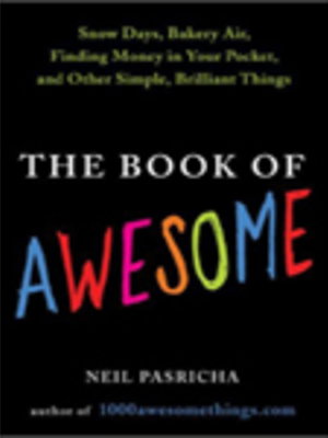 THE BOOK OF AWESOME