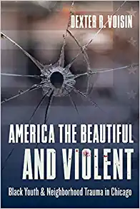 America the Beautiful and Violent: Black Youth and Neighborhood Trauma in Chicago
