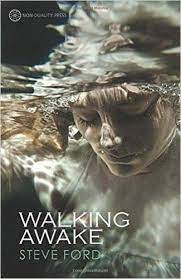 WALKING AWAKE