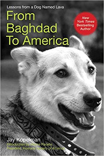 FROM BAGHDAD TO AMERICA