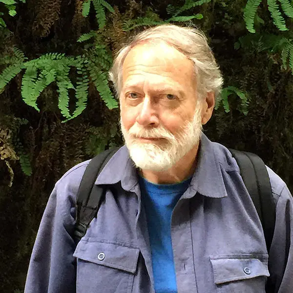 Dr. David Hollinger